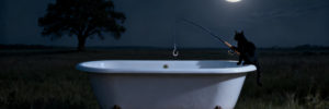 Baignoire et chat sous le clair de lune
