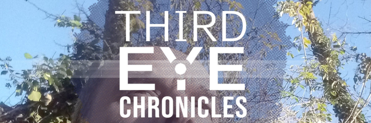 Bandeau third eye chronicles